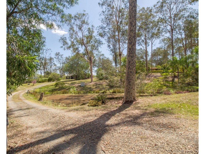 7 Sheoak Place, Cedar Grove QLD 4285