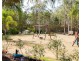 59-61 Blackbutt Road, Cedar Vale QLD 4285