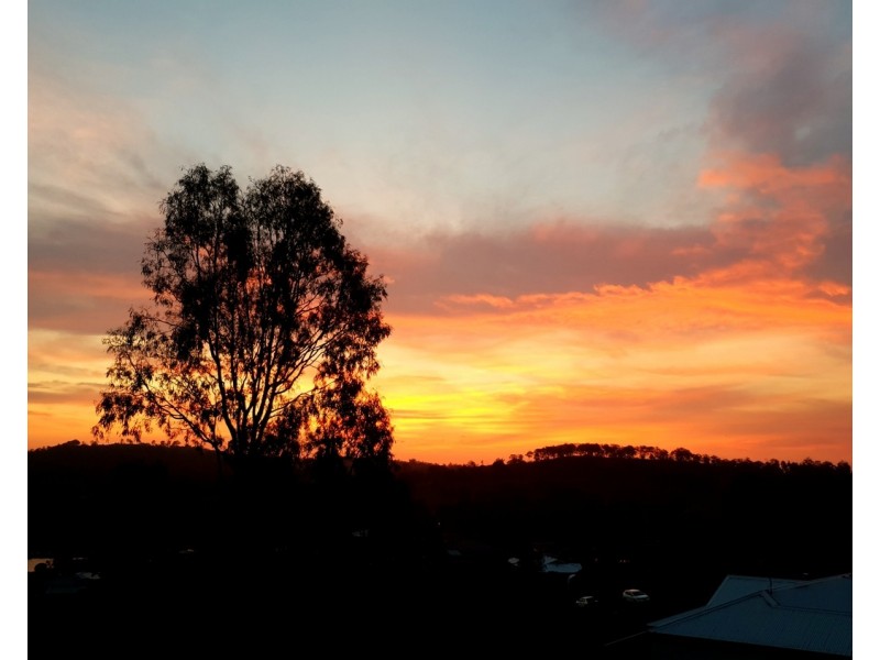 84  Lady Penrhyn Court, Mundoolun QLD 4285