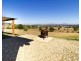 52 Panicum Close, Veresdale Scrub QLD 4285