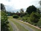 Jimboomba QLD 4280