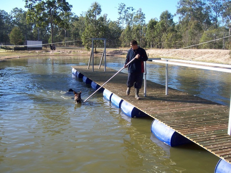 North Maclean QLD 4280