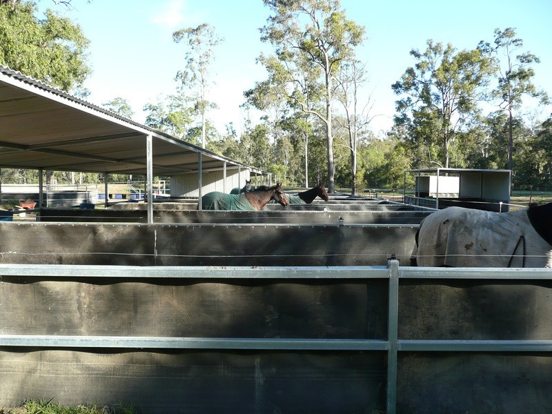 North Maclean QLD 4280