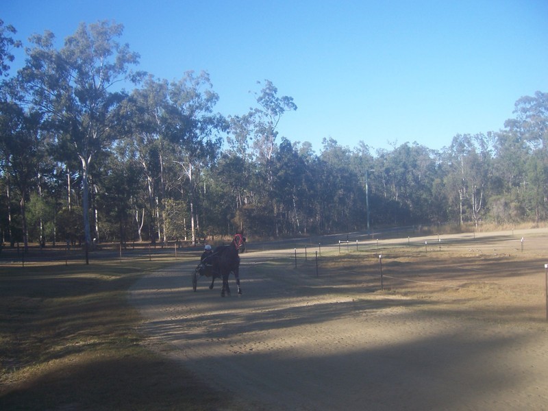 North Maclean QLD 4280