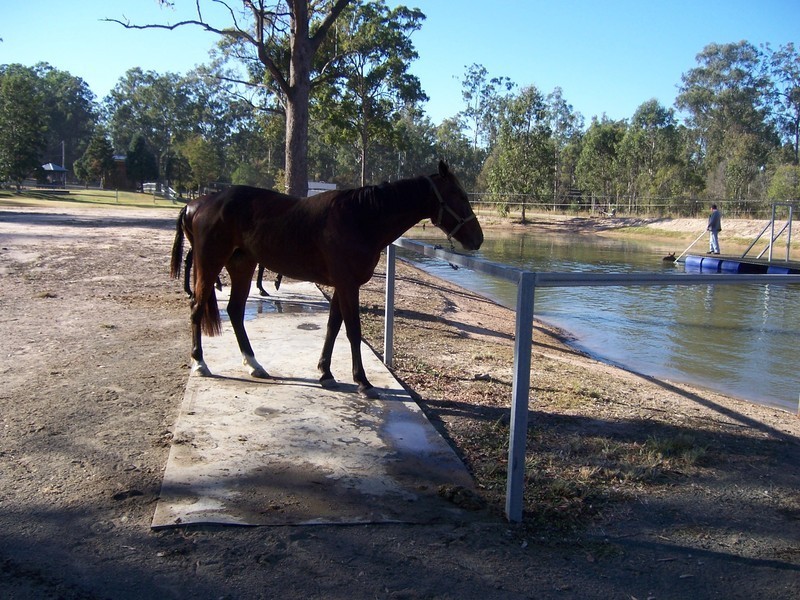 North Maclean QLD 4280