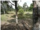 Cedar Vale QLD 4285
