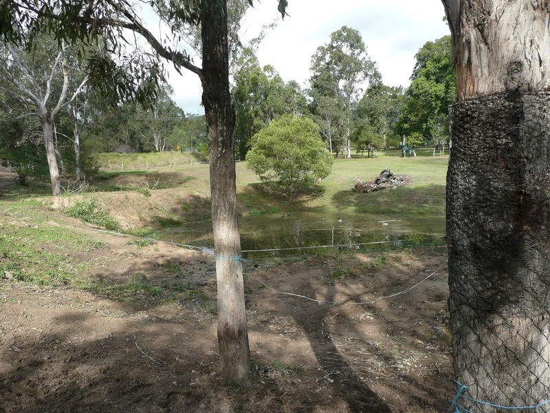 Cedar Vale QLD 4285