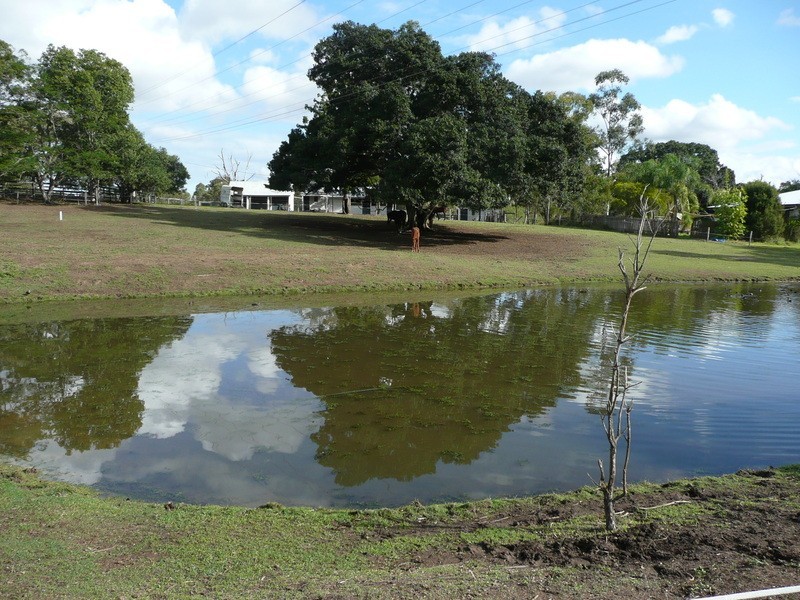 Cedar Vale QLD 4285