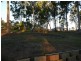 Cedar Vale QLD 4285