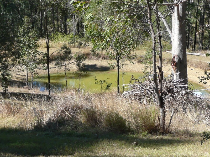 Mundoolun QLD 4285