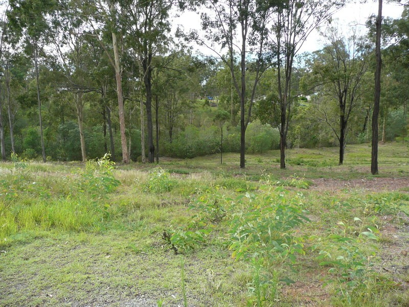 Cedar Vale QLD 4285