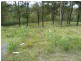 Cedar Vale QLD 4285