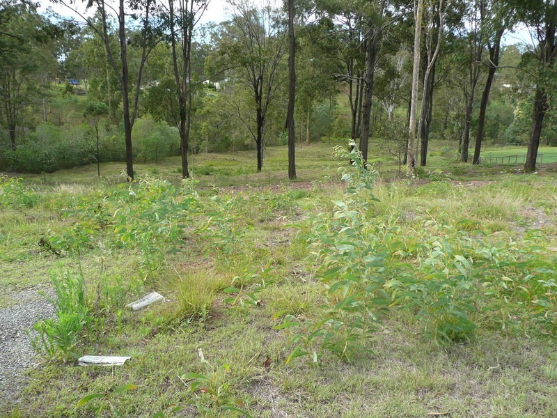 Cedar Vale QLD 4285