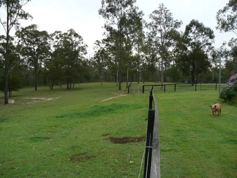 South Maclean QLD 4280