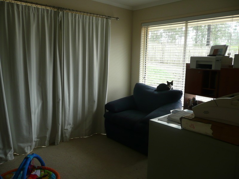 Cedar Grove QLD 4285
