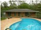 101 Leopardwood Road, Cedar Grove QLD 4285