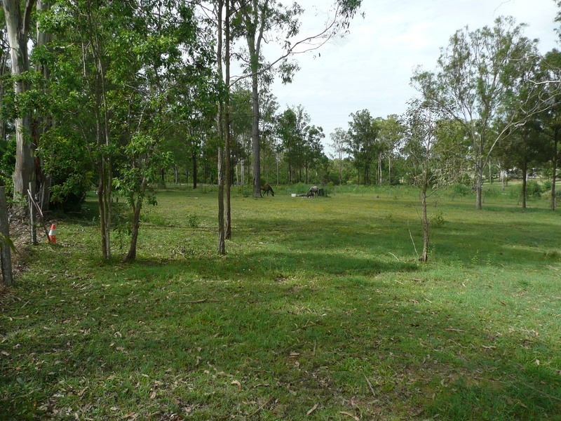 Jimboomba QLD 4280