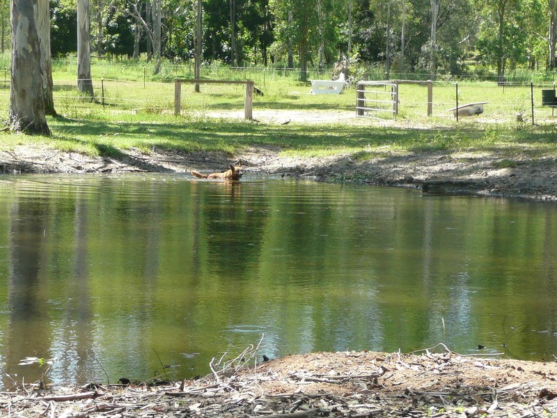 Jimboomba QLD 4280