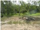 Jimboomba QLD 4280