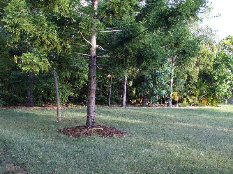 119-123 Norris Creek Road, Munruben QLD 4125