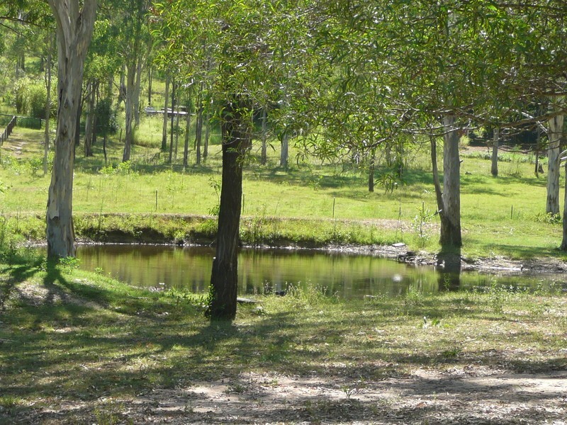 Jimboomba QLD 4280