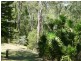 Jimboomba QLD 4280