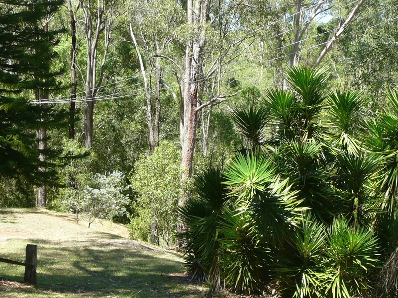 Jimboomba QLD 4280
