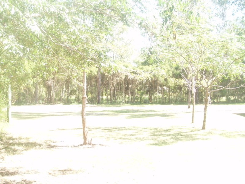 Jimboomba QLD 4280