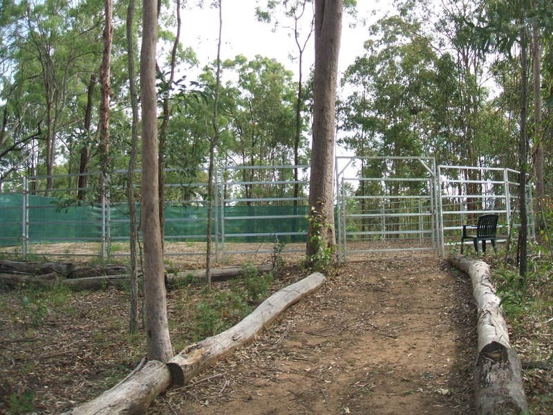 Jimboomba QLD 4280