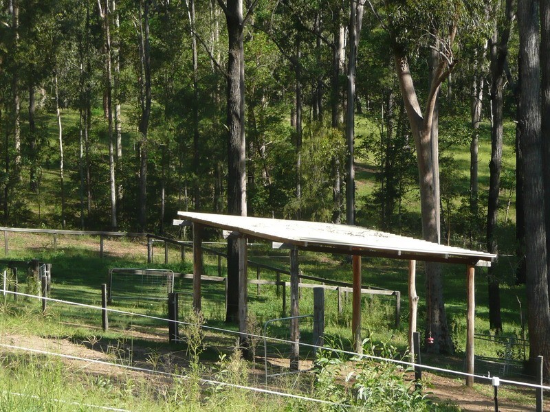 Jimboomba QLD 4280