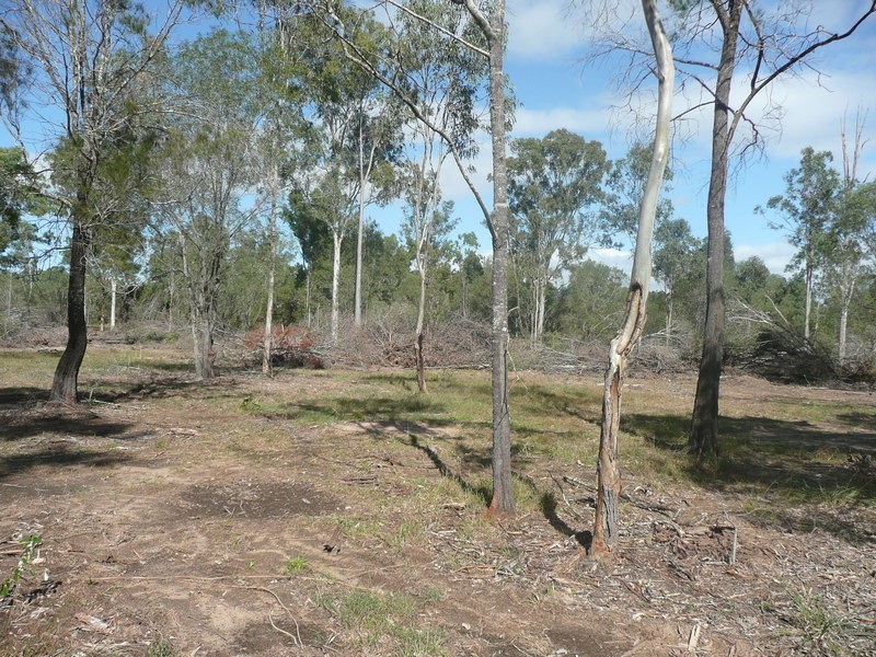 Jimboomba QLD 4280