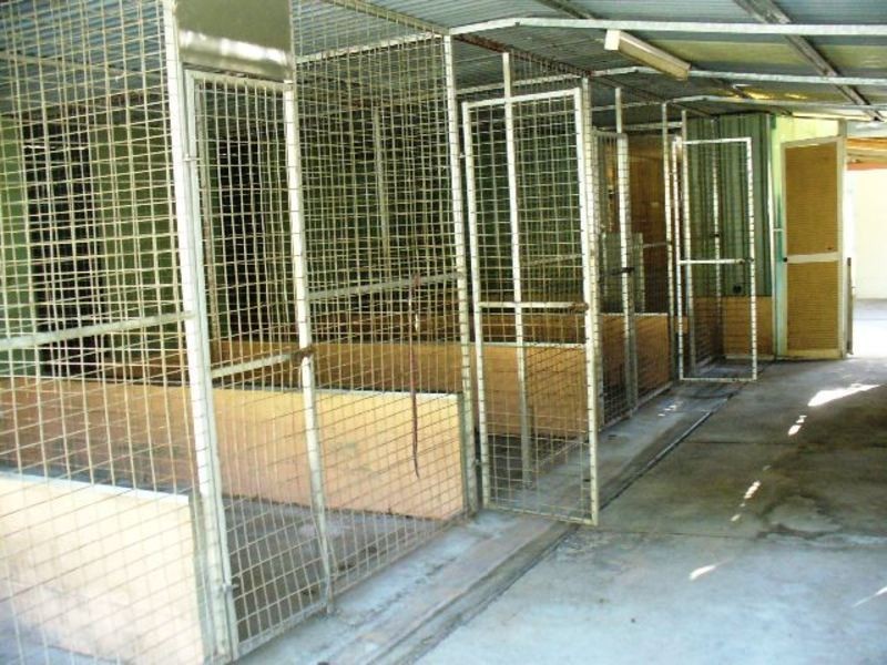 79 Missouri Street, Jimboomba QLD 4280