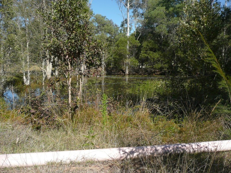 Jimboomba QLD 4280