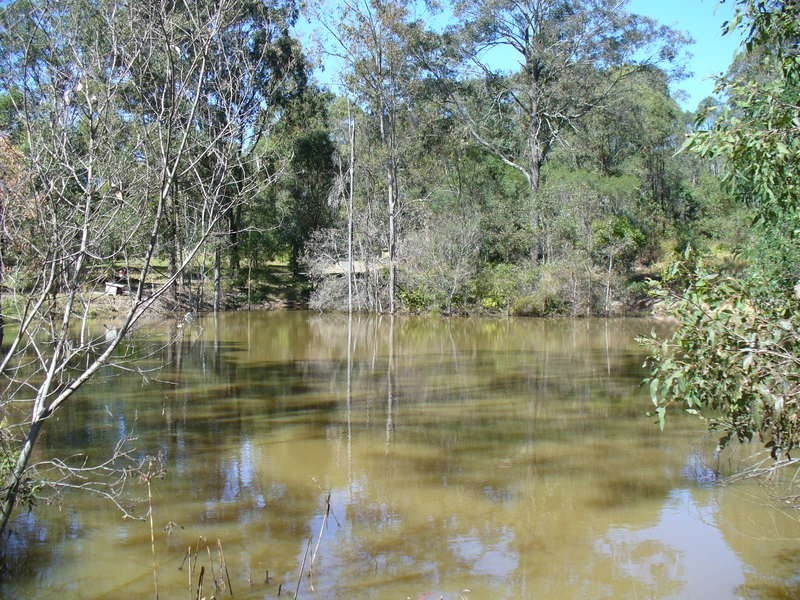 Cedar Vale QLD 4285