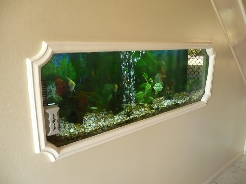 7 Tamarind Place, Cedar Grove QLD 4285