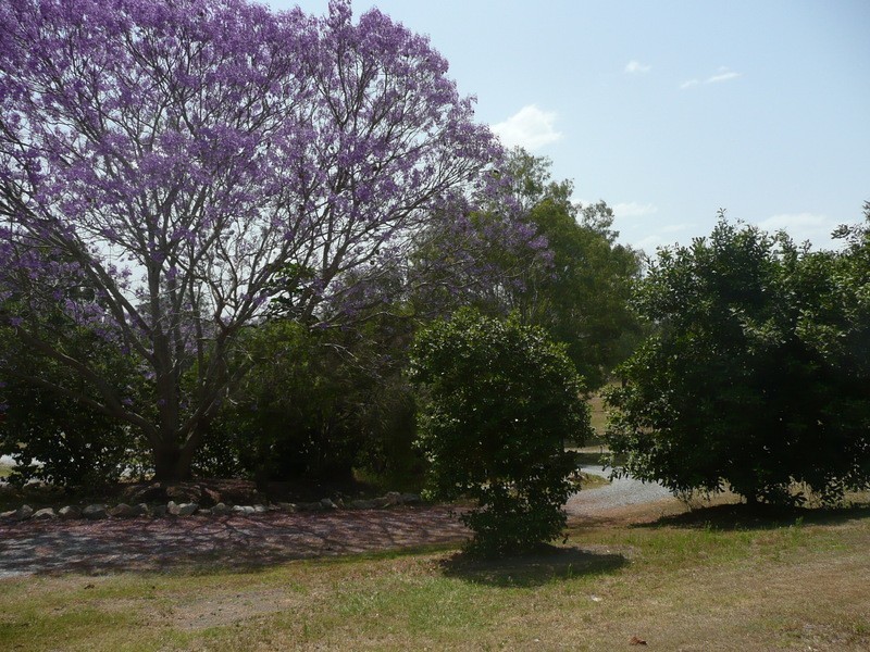 178-182 Ashwood Drive, Cedar Vale QLD 4285