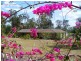 Jimboomba QLD 4280