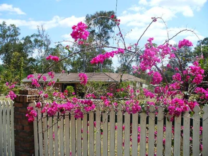 Jimboomba QLD 4280
