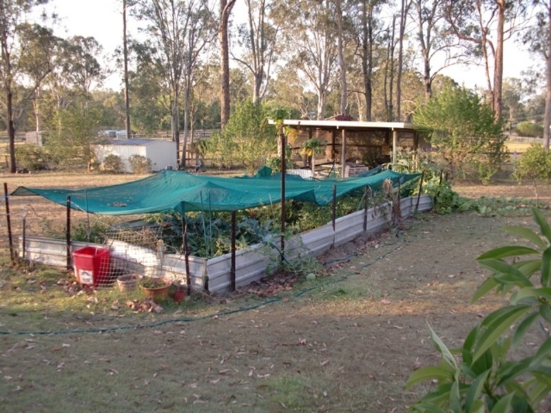 7 Sheoak Place, Cedar Grove QLD 4285