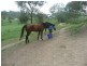 Mundoolun QLD 4285