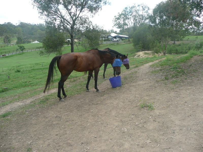 Mundoolun QLD 4285