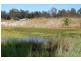 Jimboomba QLD 4280