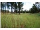 Jimboomba QLD 4280