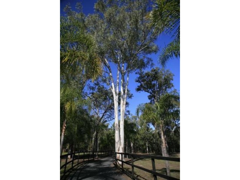 64 Noffke Road, Logan Reserve QLD 4133