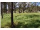 Cedar Vale QLD 4285