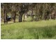 Cedar Vale QLD 4285