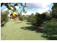 Cedar Grove QLD 4285