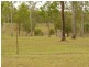 75 Clifton Drive, South Maclean QLD 4280