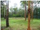 29 Drifter Court, Jimboomba QLD 4280
