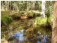 Jimboomba QLD 4280
